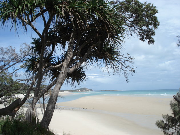 Het mooie Moreton Island dat voor de kust van Brisbane ligt