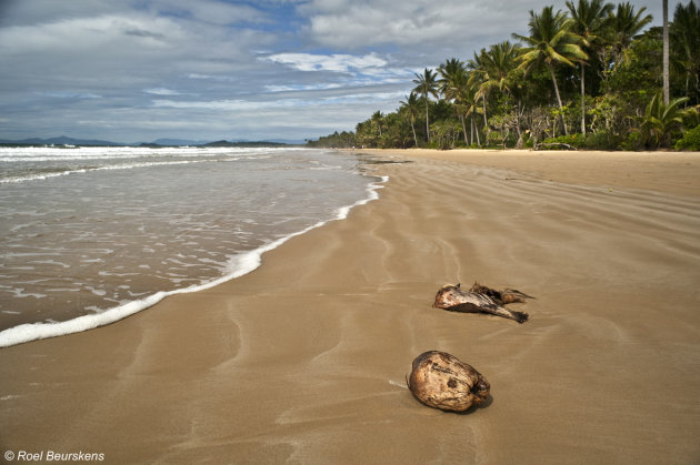 Alone on the beach