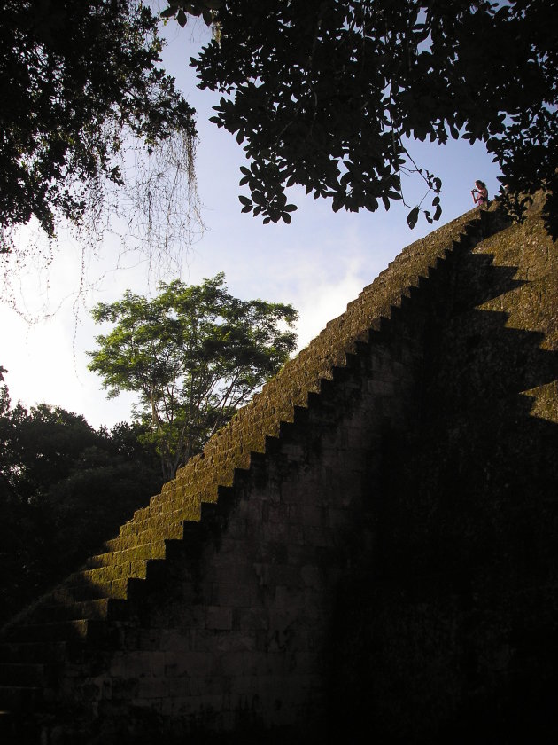 Mystiek Tikal in ochtendlicht