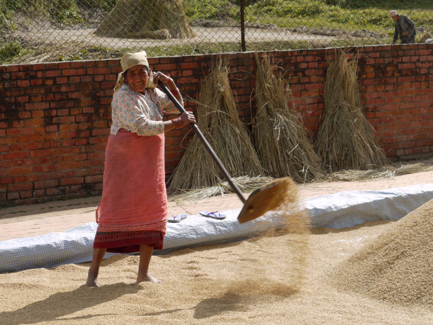 nepalese vrouw schept de rijst droog