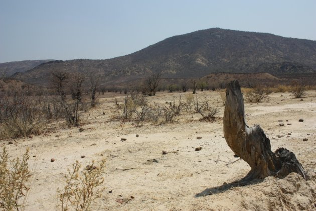 Het afgelegen Kaokoveld