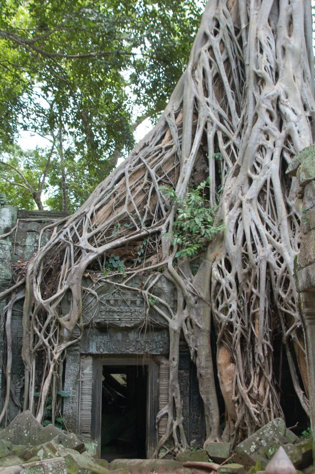 Ta Prohm