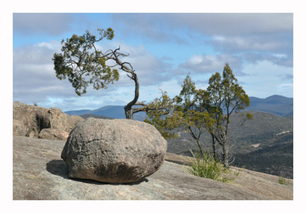 Girraween National Park