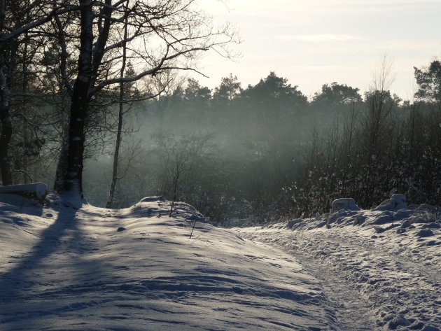 Park Groot Warnsborn