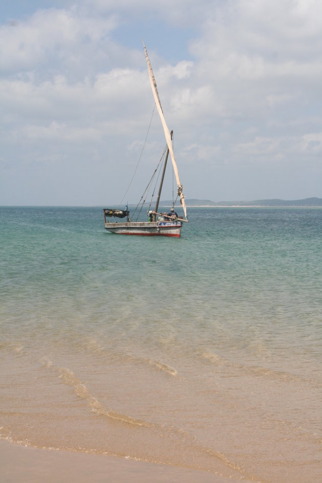 Vissersboot net aangekomen op Manda Island met vangst: 2 zwaardvissen