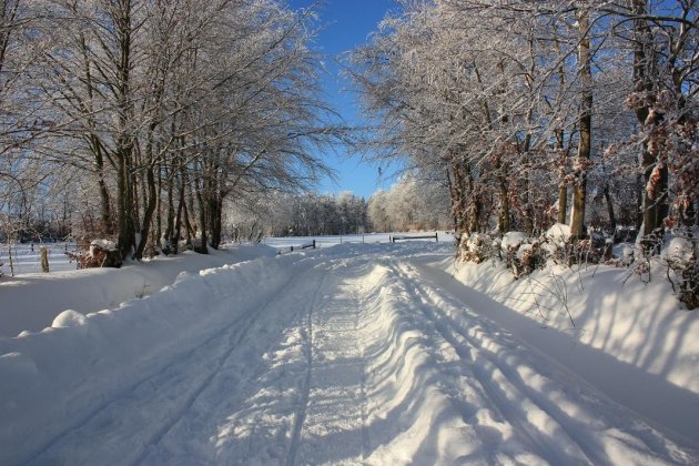 winterlandschap 