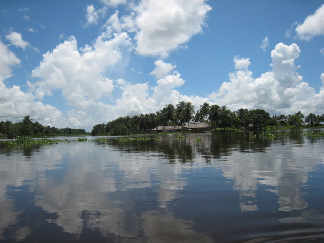 Orinoco delta