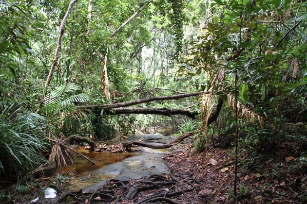 Bako NP