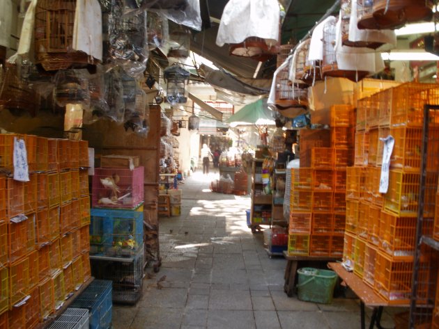 Vogeltjesmarkt in Hong Kong