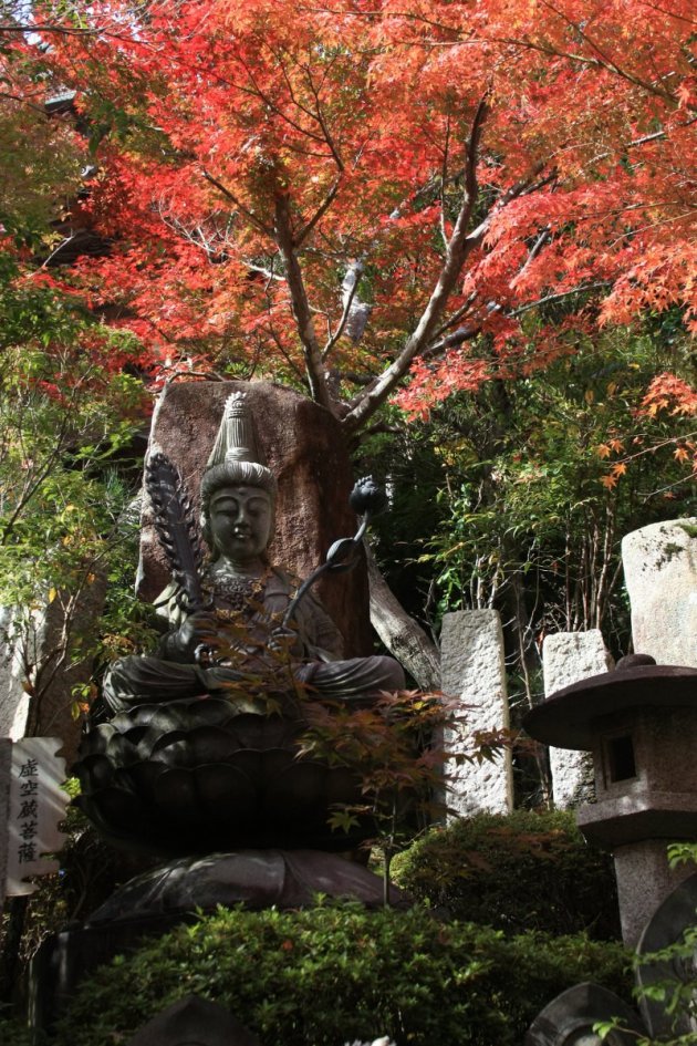 Herfst in Japan