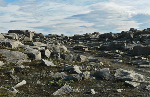 Nabij Dettifoss.