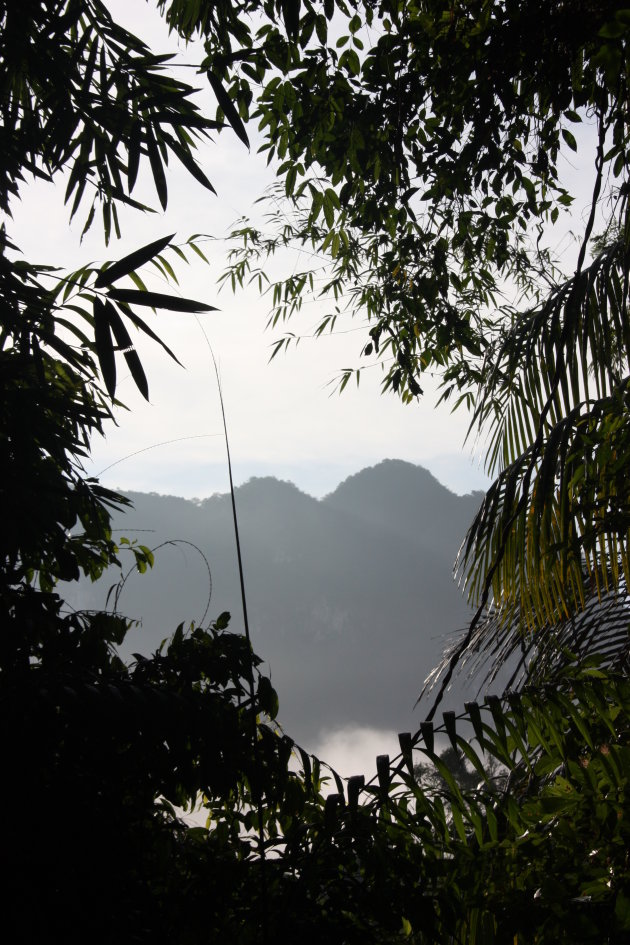 Uitzicht boven de mist in Khao Sok National Park = onderweg naar Wing Hin waterval.