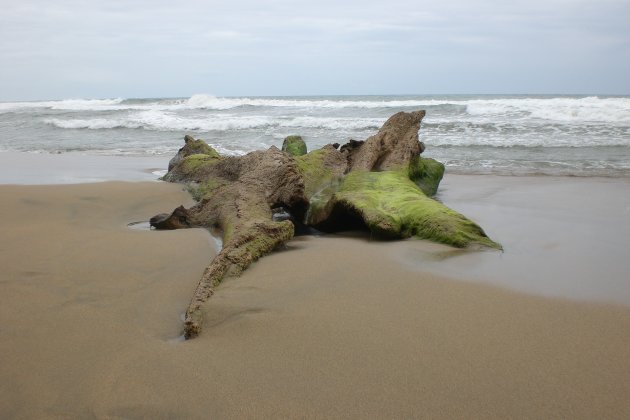 strand costa rica