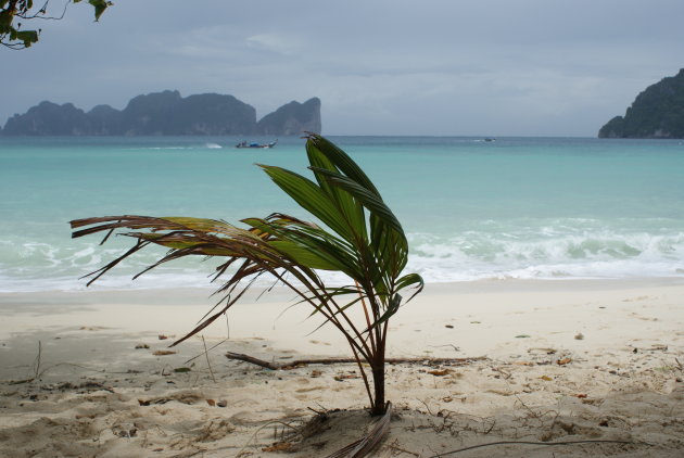 Kho Phi Phi