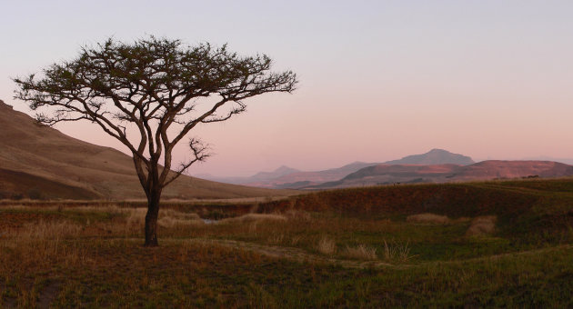 Drakensberge