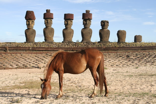 Paard en beelden