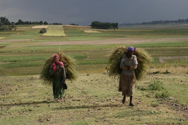 vrouwen