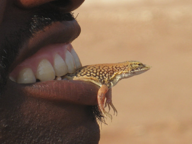 boesman, sossusvlei