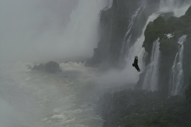 Iguazu waterval