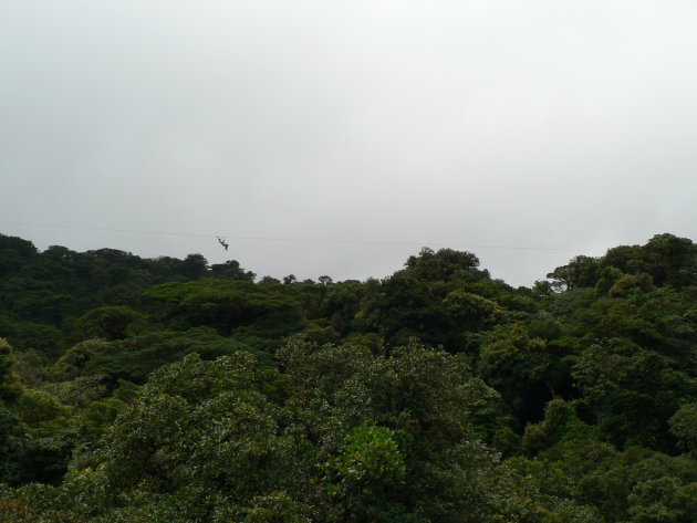 Canopytour  in Monteverde