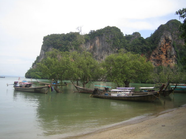 De mangroves van Railay