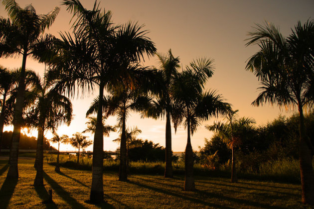 Suriname Sunset