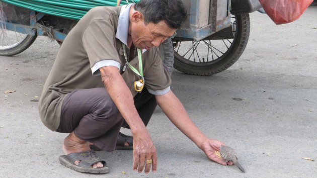 Thaise man voert vogeltje