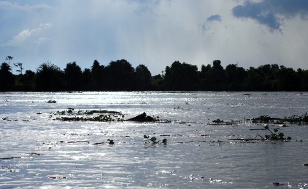 NATUURLIJKE AFVOER