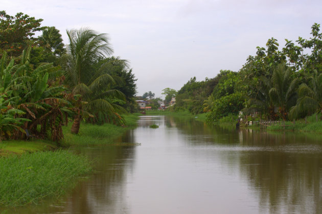 Kreek bij Paramaribo