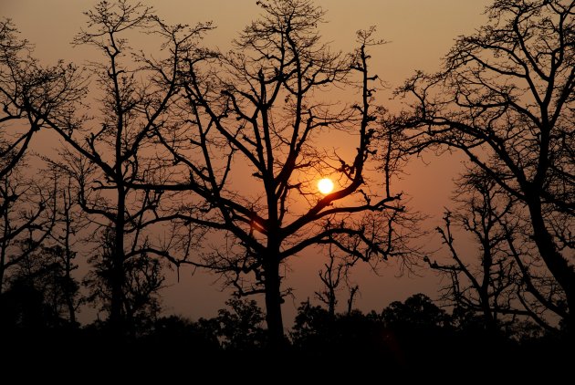 Chitwan Nationaal Park