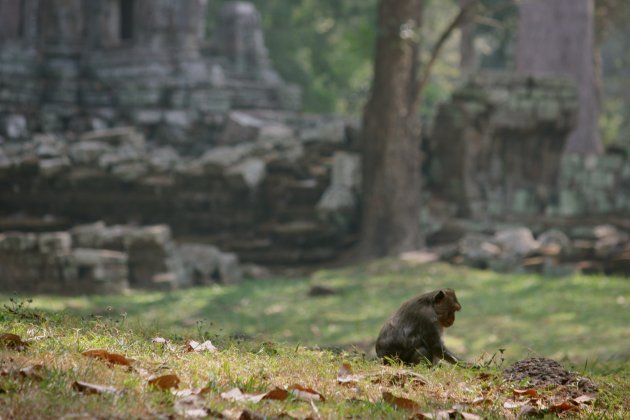 Tempel in Angkor