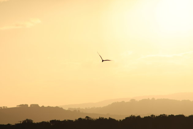 Byron Bay, Sunset