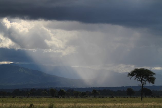 Zonnestralen en regenbuien