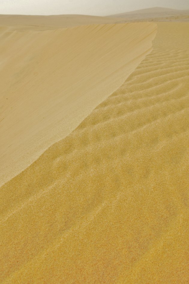 Zingen deze duinen echt?