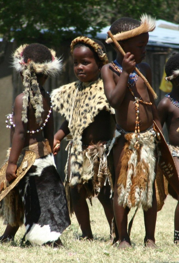 de mannen van een zulu dansgroep (dit is deel 2 van een drieluik)