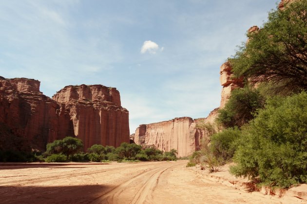 Cañon de Talampaya - La Rioja