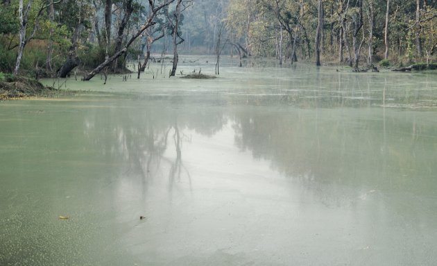 Chitwan National Park