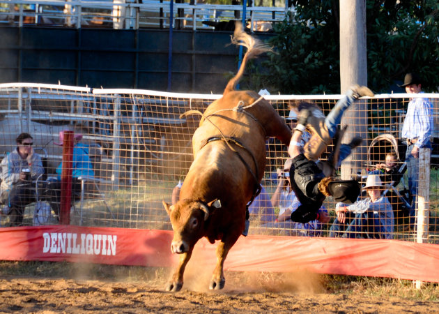 Officiële Australische Rodeo