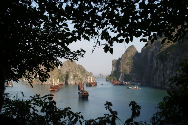 Junks in Halong Bay