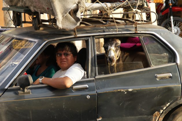 Lokaal transport in Peru