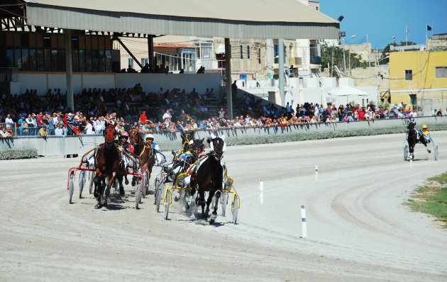 Paardenraces in Marsa