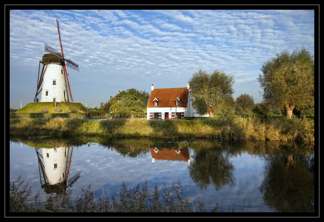 Schellemolen