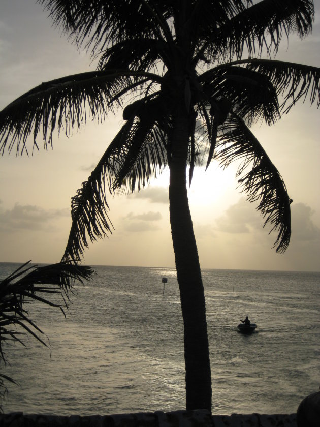 Caribisch gebied Caye Caulker