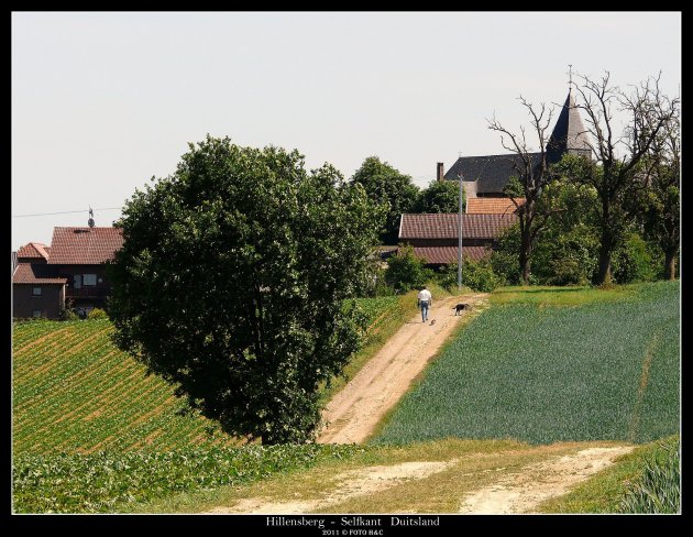 dagboek van een herdershond