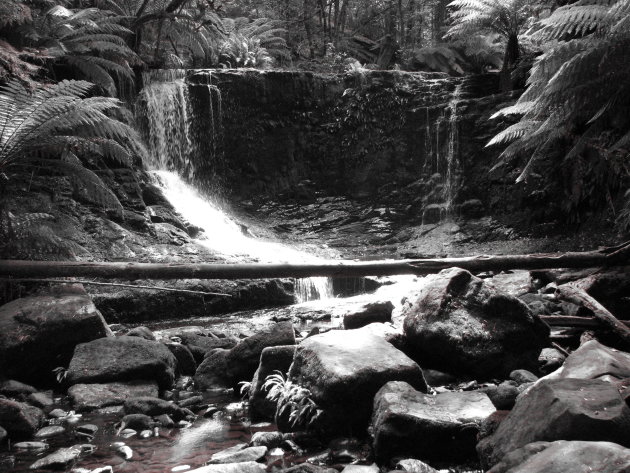 Mount Field National Park