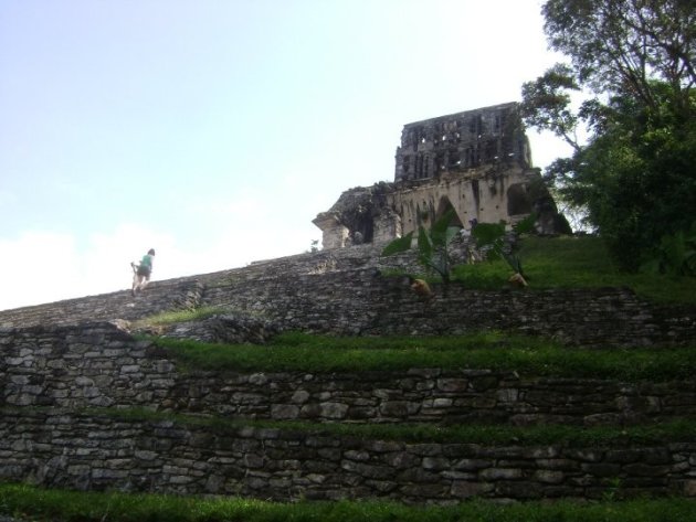 Maya ruïnes Palenque