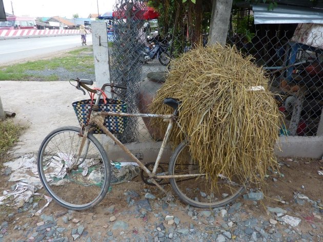 Grasfiets