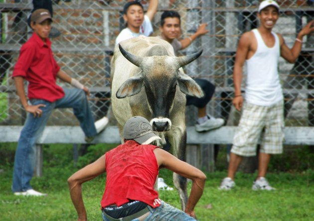 Ik ben niet bang: Rodeo op het Isla de Ometepe