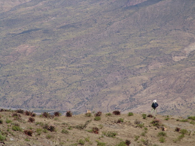 On the watch for Gelada's… 