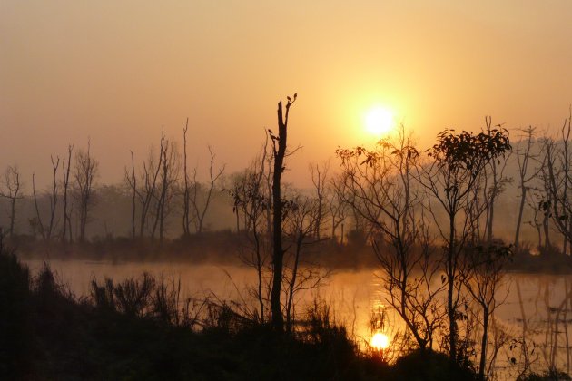 Zonsopkomst in Chitwan